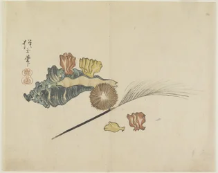 (Coquillages), c. 1830
